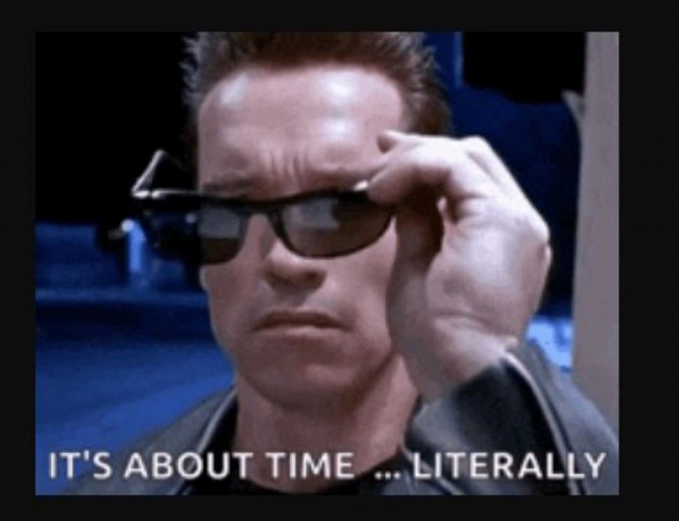 TERMINATOR 2025